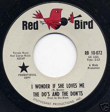 Picture of "I Wonder If She Loves Me" by The Do's & The Don'ts