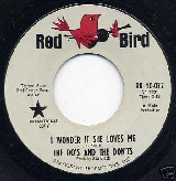 "I Wonder If She Loves Me" by The Do's & Don'ts